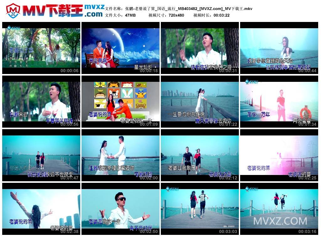 张鹏-老婆说了算_国语_流行_MB403482